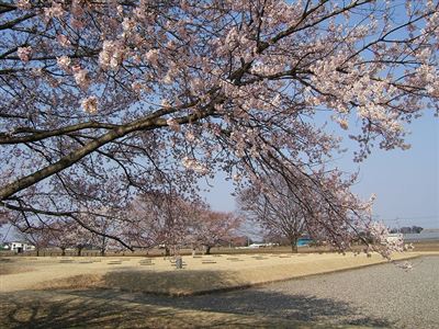 下野国分尼寺跡