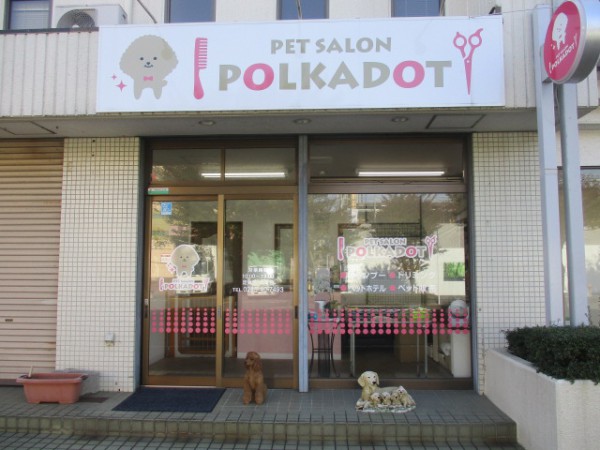 ＰＥＴＳＡＬＯＮ　ＰＯＬＫＡＤＯＴ